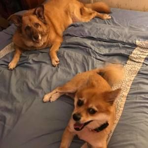 Meet your Posher, Dianne